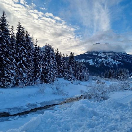 Apartmán Hirsch Haus Santo Stefano Di Cadore Exteriér fotografie